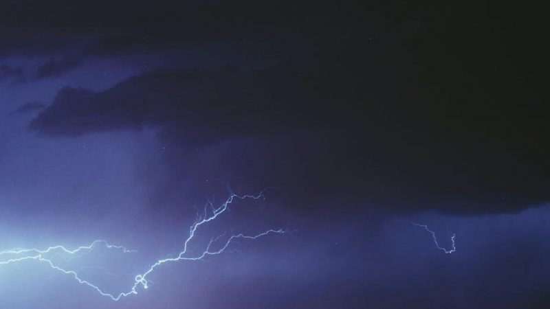 bramblestar’s storm pdf